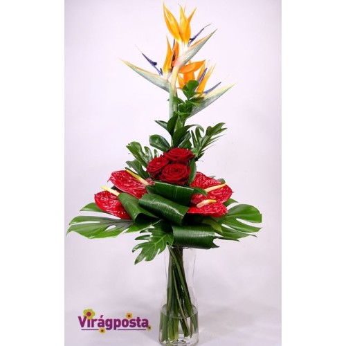 Love is a bird - exotic bouquet with red roses L